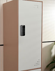 Electronic Cabinet Locks